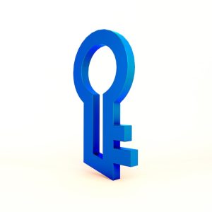 Standard Asset Key